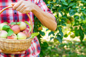 Sistem picurare livada pentru a obtine mai multe fructe